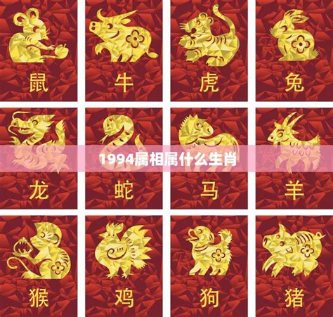 1994屬|1994出生属什么生肖查询，1994多大年龄，1994今年几岁